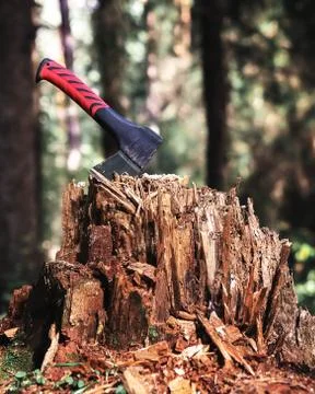 Small red axe in a hemp on a forest quench with a natural background Stock Photos