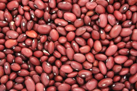 Small red beans Stock Photos