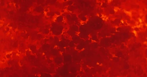 Small red blood cells in fluid Stockbeeldmateriaal 124372068