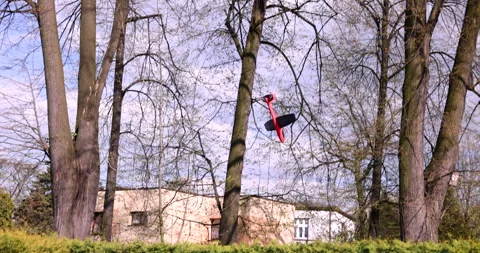Small red blue styrofoam airplane flying among trees and falling down on grass Stock Footage 240134000
