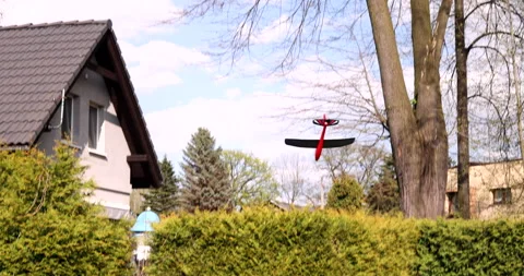 Small red blue styrofoam airplane toy flying and falling down landing on a thuja Video stock 240134367