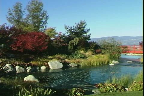 Small Red Bridge-ws-pan Stock Footage 820347