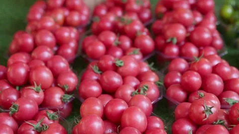 Small red cherry tomatoes are piled up together Stock Footage 322776735