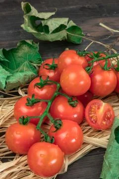 Small red cherry tomatoes on a branch, lying on a hay on an old wooden table  Stock Photos