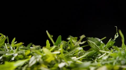 Small red cherry tomatoes fall on green arugula leaves macro Stock Footage 132126225