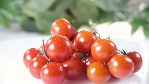 Small red cherry tomatoes. Video stock 238766137