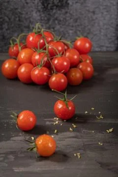 Small red cherry tomatoes on rustic background. Cherry tomatoes on the vine w Stock Photos