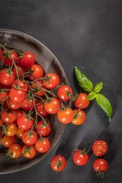 Small red cherry tomatoes on rustic background. Cherry tomatoes on the vine w Stock Photos