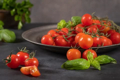 Small red cherry tomatoes on rustic background. Cherry tomatoes on the vine.. Stock Photos