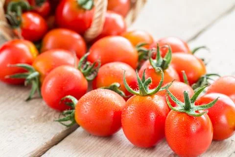Small red cherry tomatoes spill out of a wicker basket. Stock Photos