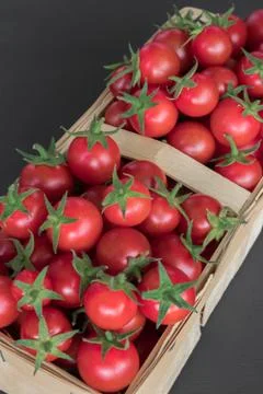 Small red cherry tomatoes in a wicker rattan basket on a wooden black backgro Stock Photos