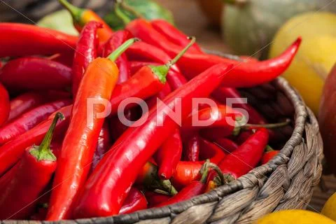 Small red chili peppers Stock Photos