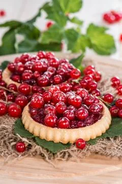 Small red currant cupcake Fotos Stock