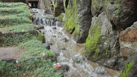 Small red Daruma dolls decorate the rocky banks of a flowing stream at Katsuoji Stock Footage 344282284