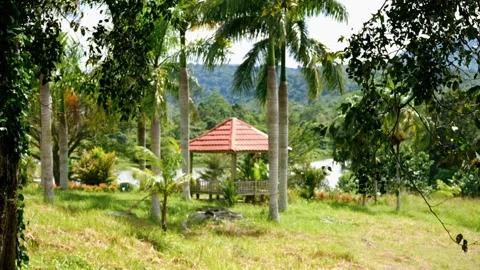 A small red gazebo sits in a lush green field Video stock 278598744