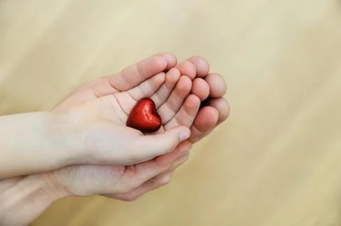 The small red heart is in the hands. Stock Photos