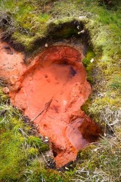 A small red hot spring surrounded by green grass, Iceland. Stock Photos