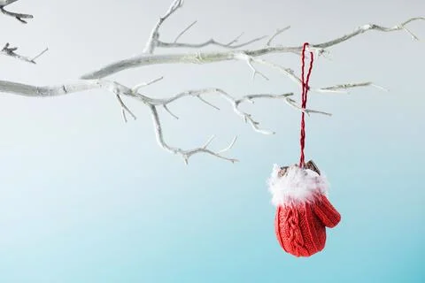 Small red mitten hangs on bare tree branch on light blue Christmas holiday decor Foto stock