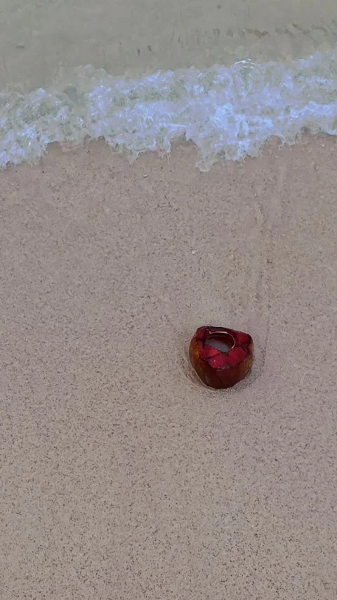 Small red object stranded on wet sand beside incoming surf Stock Footage 346741193
