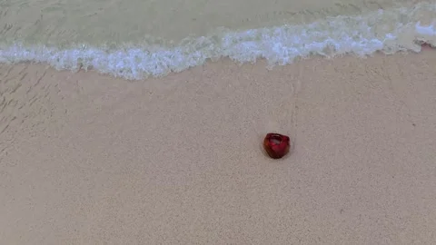 Small red object stranded on wet beach sand beside incoming surf Stock Footage 346742751