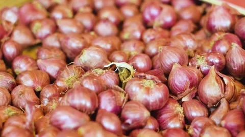 Small red onions kept in a pile for selling at the vegetable market Stock-Footage 286246862