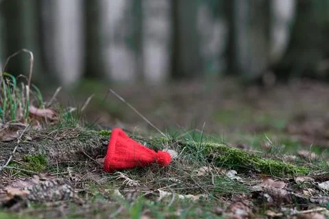 Small red pixie hat Stock Photos