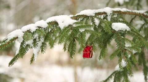 Small red present hanging in christmas tree (Panning) Stock Footage 44223690