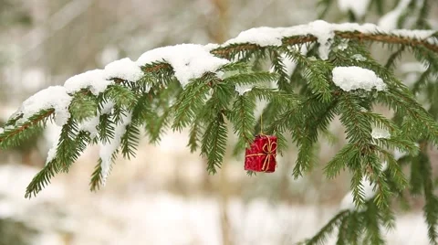 Small red present hanging in christmas tree Stock Footage 44223740