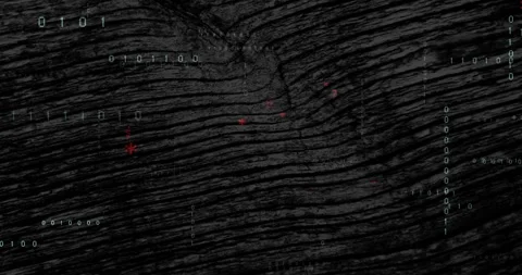 Small red symbols emerging triggers swirling code transforming to show code flow Stock Footage 311225964