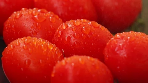 Small red tomatoes. Drops of water fall from above Stock Footage 236542248