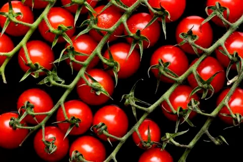 Small red tomatoes Stock Photos