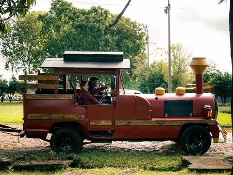 Small red toy train sits on grass Foto stock