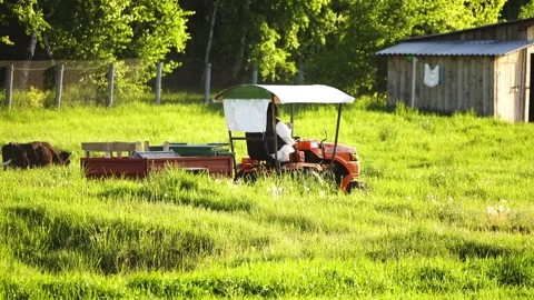 A small red tractor with a trailer drives along the road in the countryside.  Stock Footage 155944055