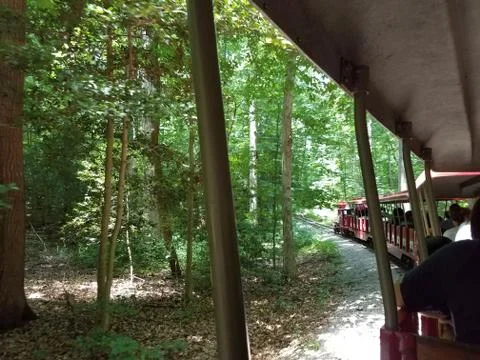 Small red train in the forest Stock Photos