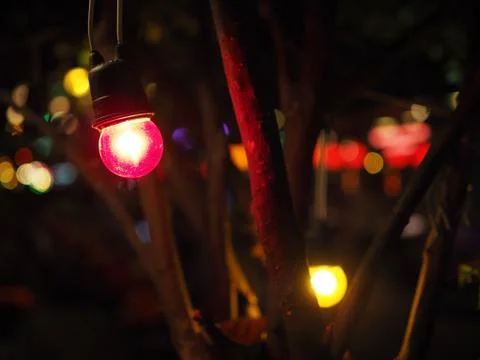 Small red yellow light bulb under tree branch in night market festival Foto stock