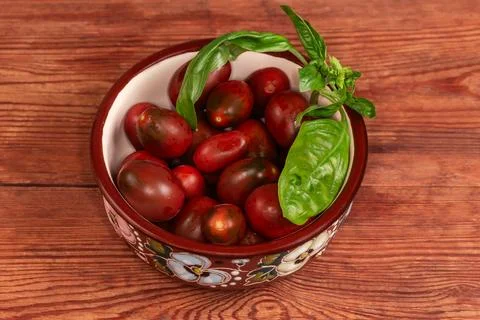Small reddish brown plum tomatoes with basil in a bowl Stock Photos