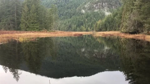 Small reflective pond in forest mountains Stock Footage 136339987