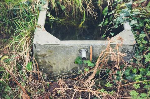 A small reservoir in a garden Stock-Fotos