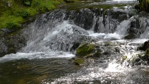 Small riffle Stock Footage 104702479