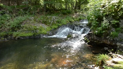 Small riffle Stock Footage 104851187