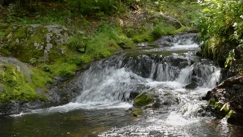 Small riffle Video stock 105040668