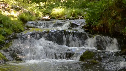 Small riffle Stock Footage 105271590