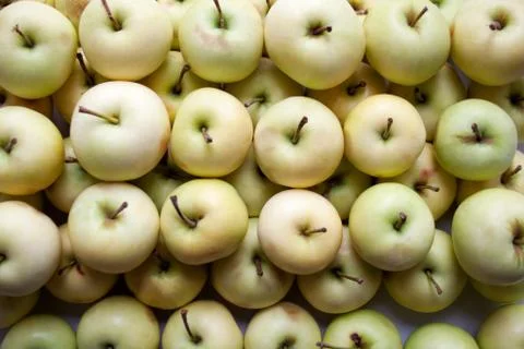 Small ripe apples background Stock Photos