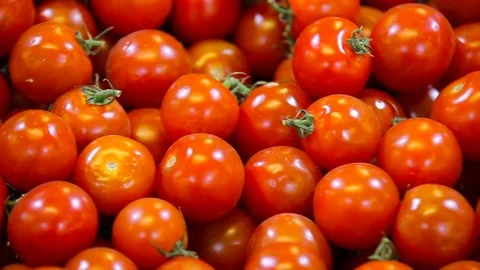Small ripe tomatoes close up Stock Footage 70173360