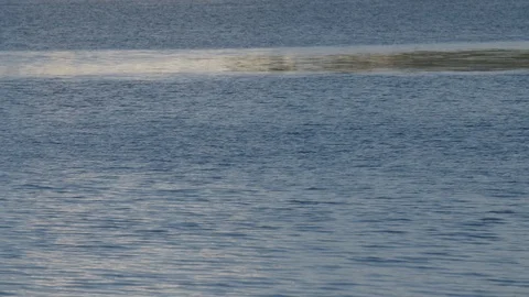 Small ripple texture on Potomac River Video stock 91920318