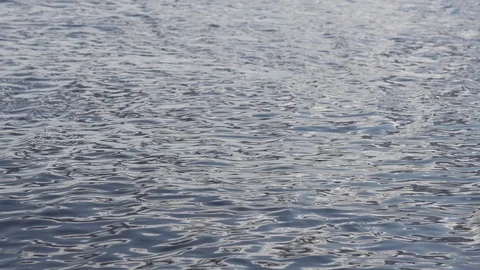 Small ripples and waves on the surface of the water of the reservoir Stock Footage 117232418