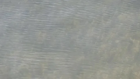 Small ripples gentle waves clear freshwater river with underwater grass 库存影片 246871577