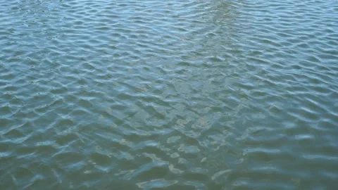 Small Ripples in the Lake Stock Footage 327577648