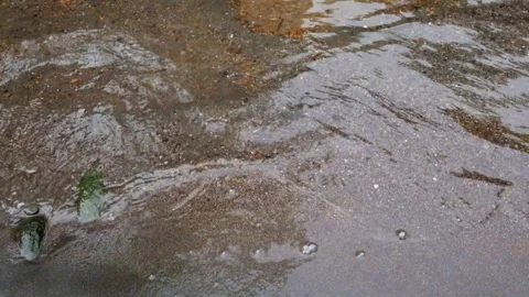 Small ripples on the sandy river bank Stock Footage 306765319