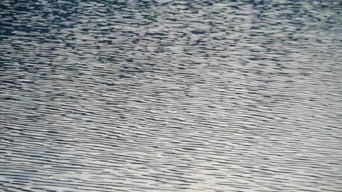 Small ripples on the surface of calm lake water Stock Footage 320941601